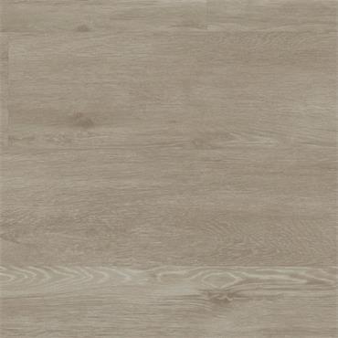 Brockton Palio Rigid (Per Pack)