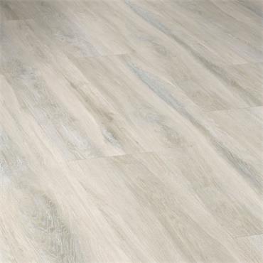 Salina Palio Rigid (Per Pack)