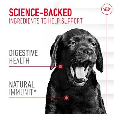 Royal Canin Puppy Digestion Supplement 100g