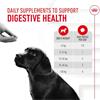 Royal Canin Puppy Digestion Supplement 100g