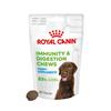 Royal Canin Puppy Digestion Supplement 100g