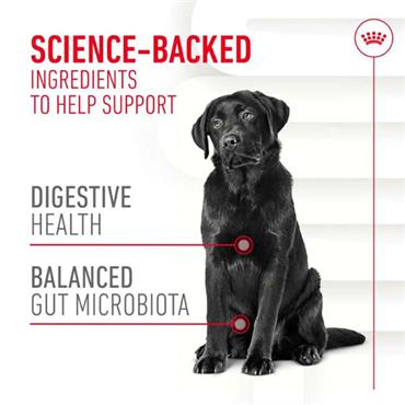 Royal Canin Adult Digestion Supplement 160g