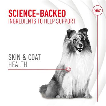 Royal Canin Adult Skin & Coat Supplement 240g