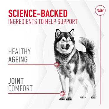 Royal Canin Joint & Ageing Supplement 240g