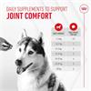 Royal Canin Joint & Ageing Supplement 240g