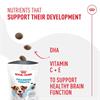 Royal Canin Training Treats 110g