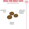 Royal Canin Fussy Cat 2kg