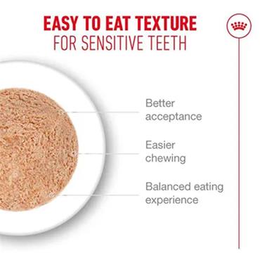 Royal Canin Ageing 11+ Soft Mousse Can 85g