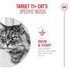 Royal Canin Ageing 11+ Soft Mousse Can 85g