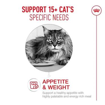 Royal Canin Ageing 15+ Ultra Soft Mousse Can 85g