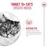 Royal Canin Ageing 15+ Ultra Soft Mousse Can 85g