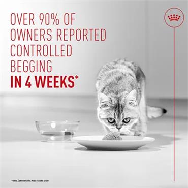 Royal Canin Cat Appetite Control Airlift Mousse Can