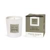 Regular Candle - Green Fig & Vetiver Wood