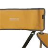 Regatta Isla Chair 2 Mustard