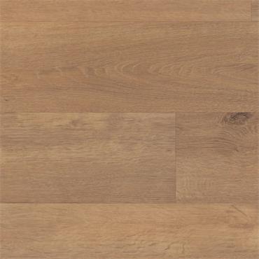 Palio Core Modena (Per Pack)