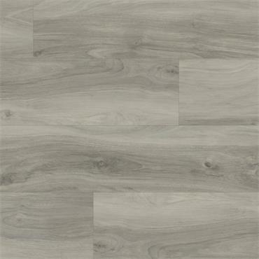 Palio Core Andria (Per Pack)