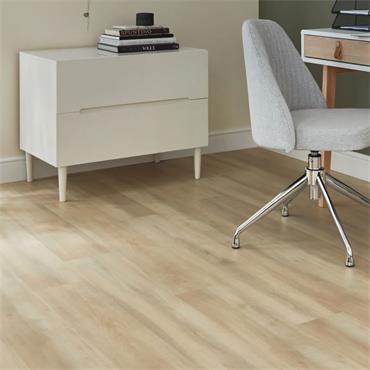 Palio Core Salerno (Per Pack)