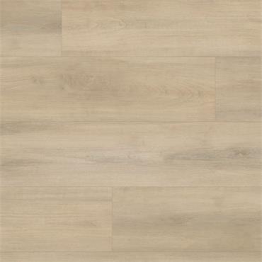 Palio Core Salerno (Per Pack)