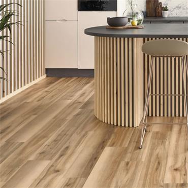 Palio Core Gallina (Per Pack)