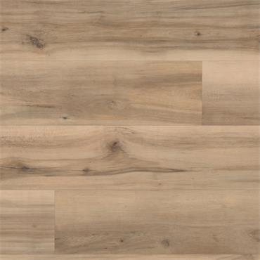 Palio Core Gallina (Per Pack)