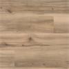 Palio Core Gallina (Per Pack)