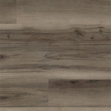 Palio Core Scopeti (Per Pack)