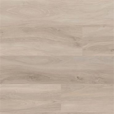 Palio Core Barletta (Per Pack)