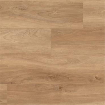 Palio Core Genna  (Per Pack)