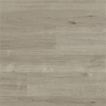 Palio Core Monza (Per Pack)