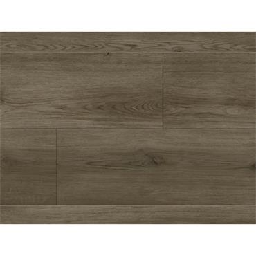 Republic Grizzly 5.5Mm Plank Buzz (Per Pack)