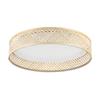 Eglo Luppineria Ceiling Light