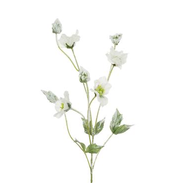Snowstorm Hellebore Stem 76cm