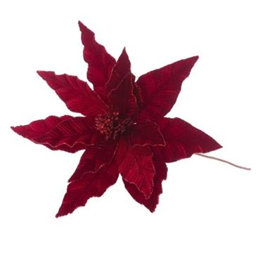 Glitter Tipped Poinsettia 70cm