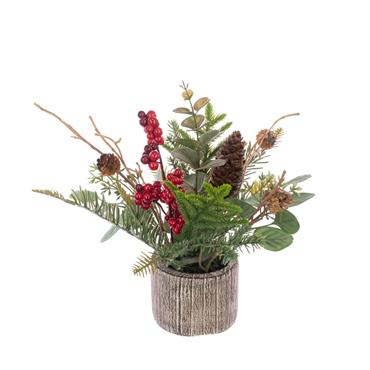 Berry With Foliage & Cones In Pot