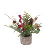 Berry With Foliage & Cones In Pot