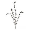Sparkle Ming Spray 94cm