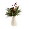 Cypress & Berry In Pot 22cm