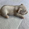 Vivid Arts Real Life Sleeping Piglet Ornament