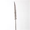 Autumn Single Lupine 61cm