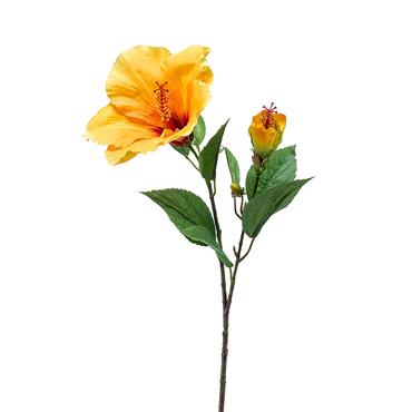 Hibisvus Orange Spray 60cm