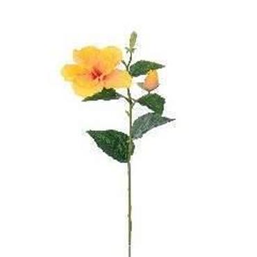 Hibisvus Orange Spray 60cm