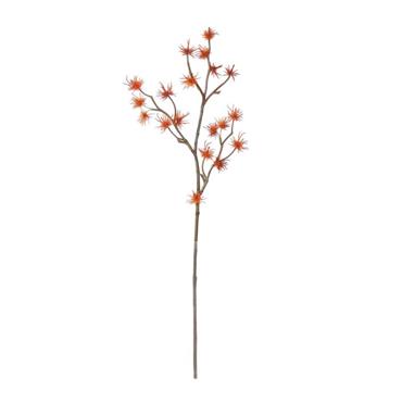 Witch Hazel Spray 69cm