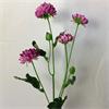 Green Dark Purple Mum Spray 60cm