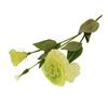Green Eustoma Spray 83cm