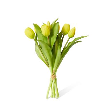 Yellow Tulip Bundle 5s