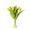 Yellow Tulip Bundle 5s
