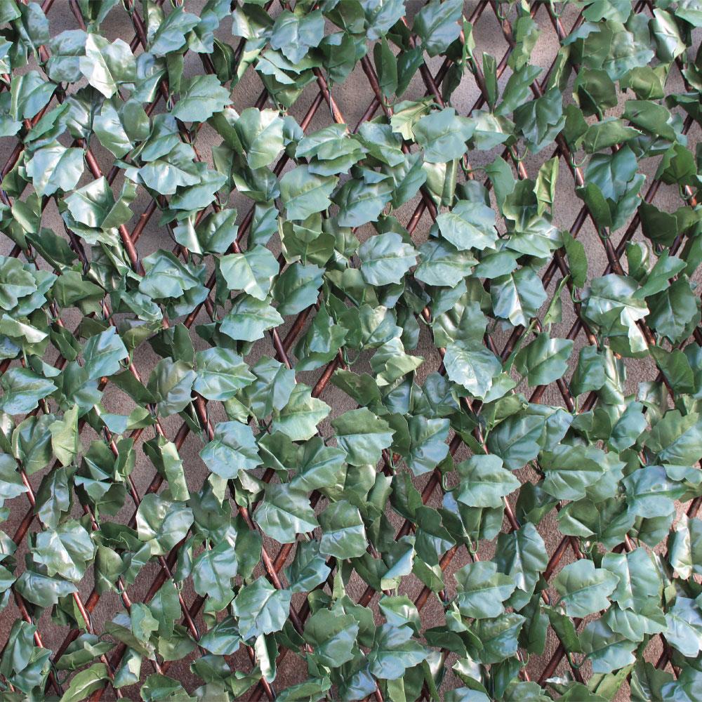 WonderWall Ivy Trellis 100 x 200cm Stakelums Home & Hardware