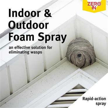 Zero In Wasp Nest Killer Foam 300ml