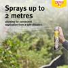 Zero In Wasp Nest Killer Foam 300ml