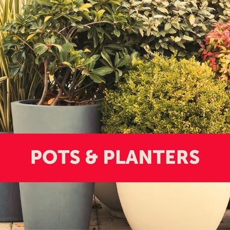 Pots and planters